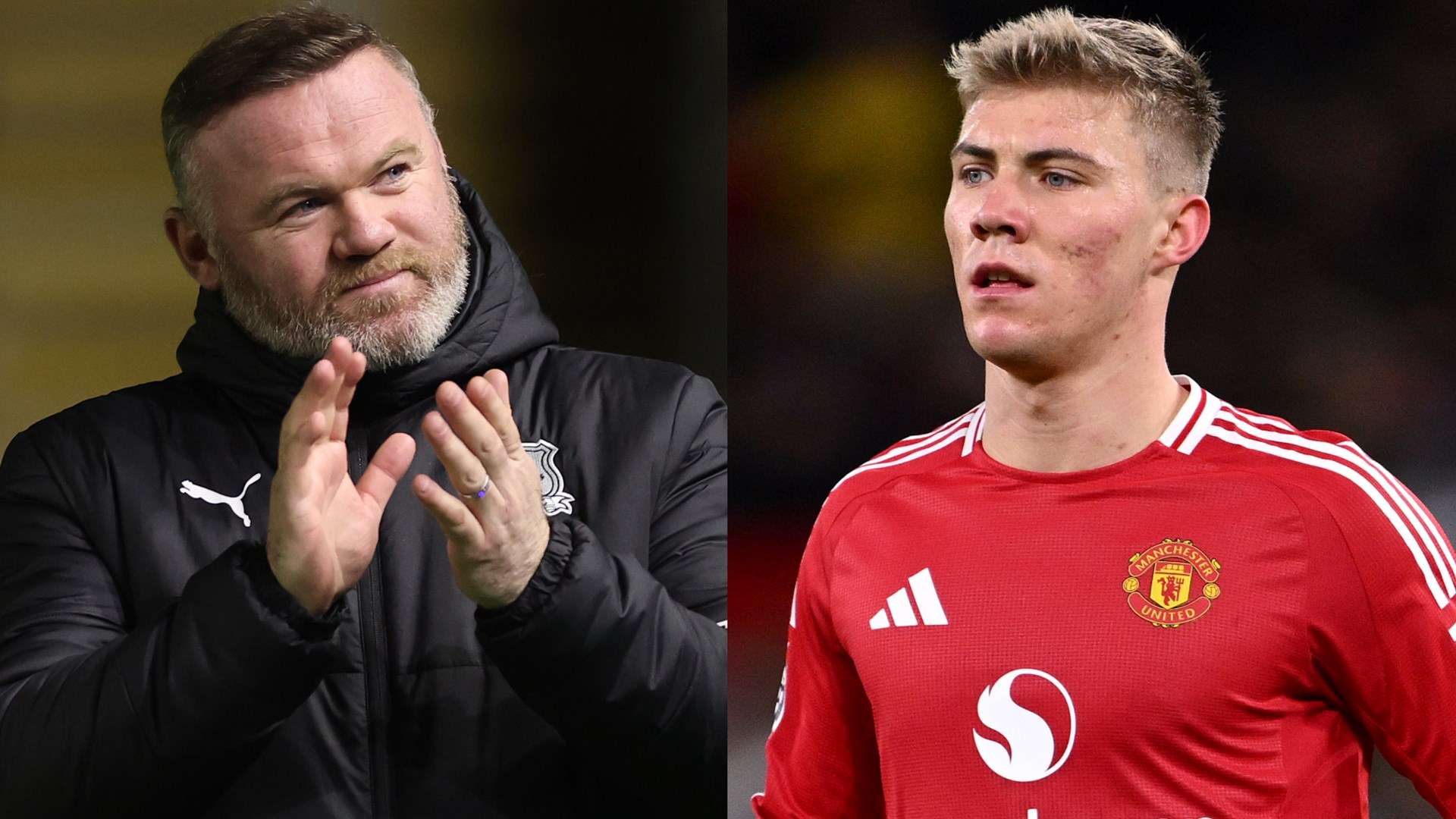 案例分析 案例分析