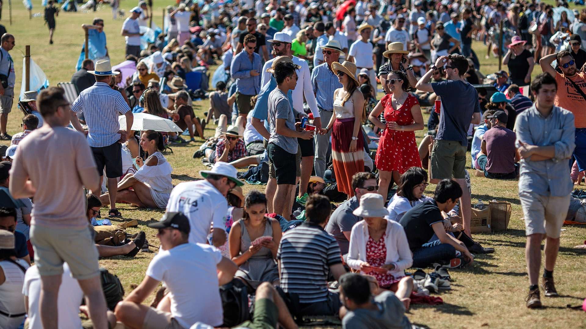 如果归化成 如果归化成